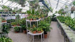 How to Build A Greenhouse