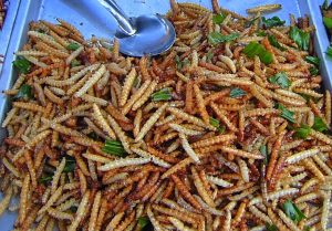 Deep fried bamboo worms 