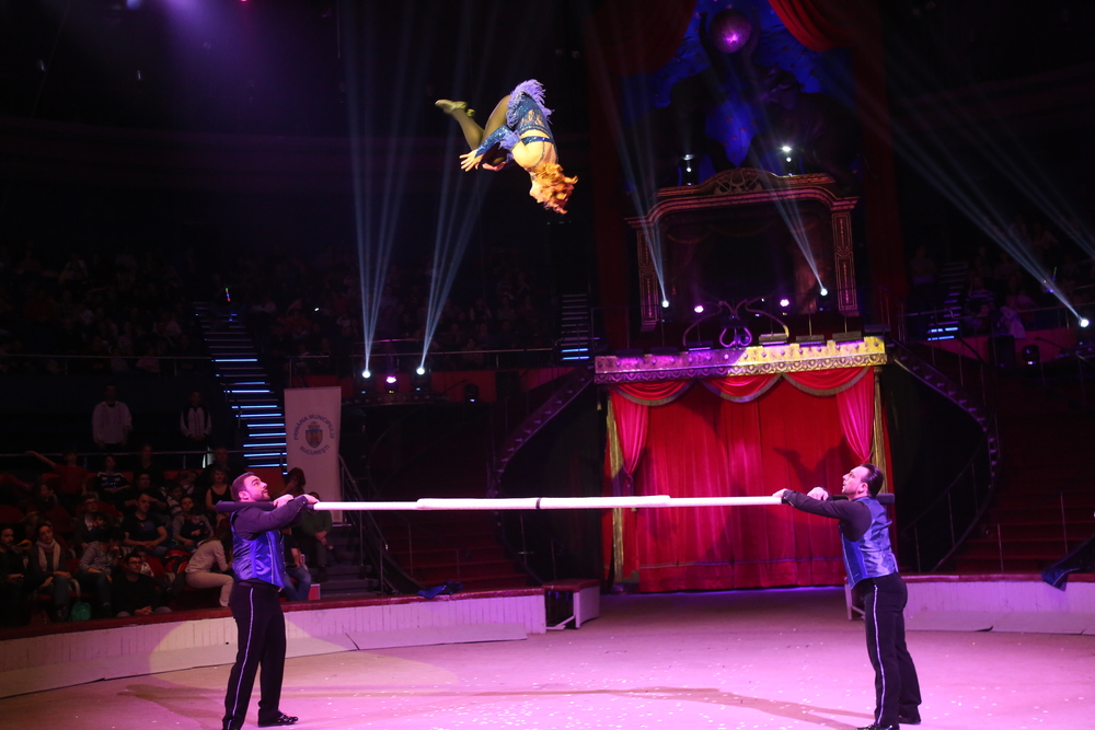 Why Circuses Are on the Decline