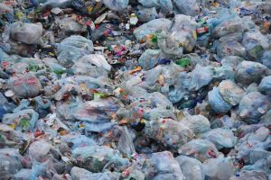 Humans release 300 million tons of plastic into the environment each year