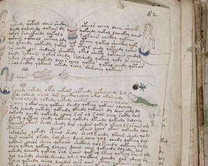 Page from the Voynich manuscript