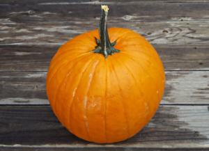 pumpkin pie pumpkin