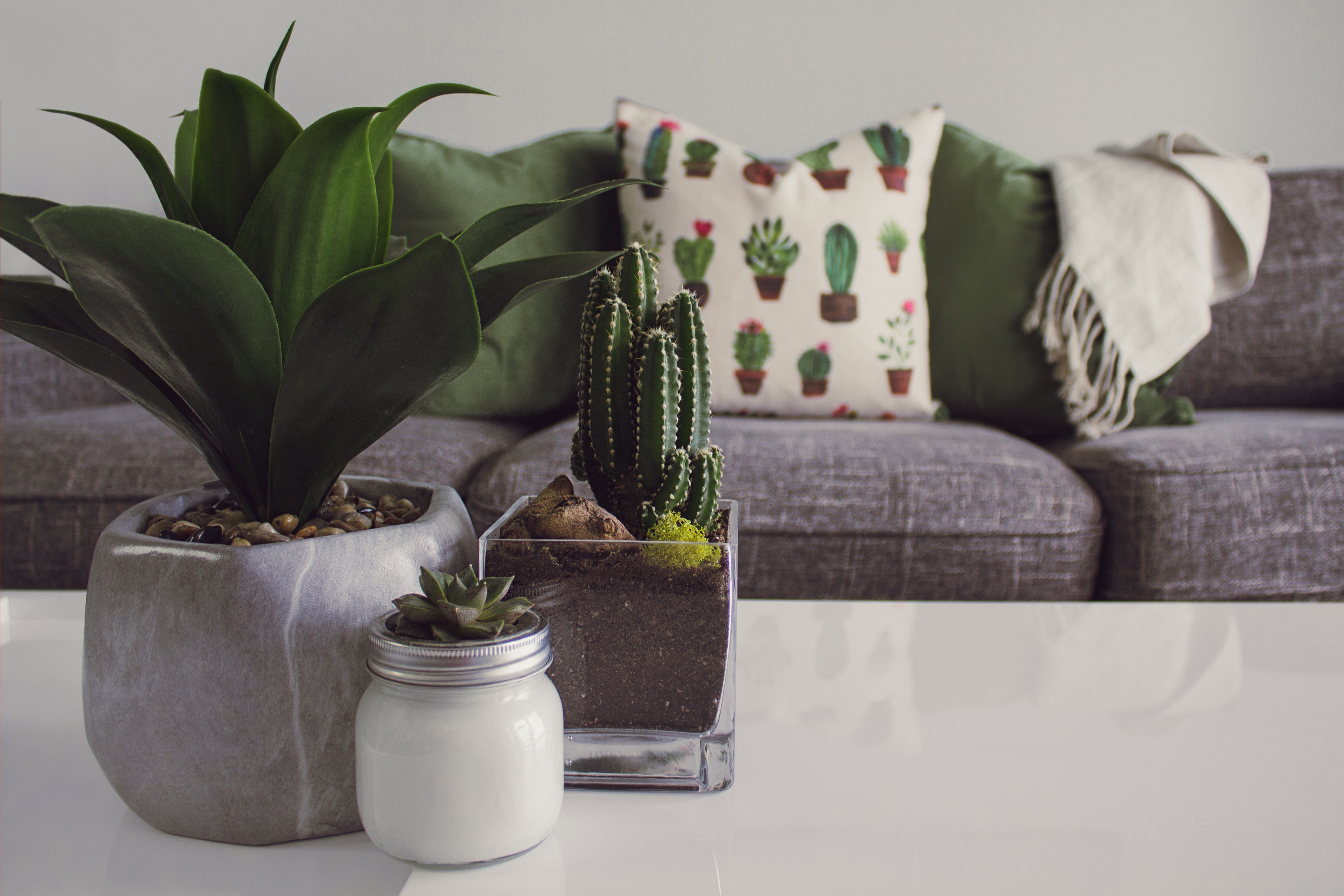 Incorporating succulents and blooming cacti will play nicely off of the natural fabrics in neutral tones.
