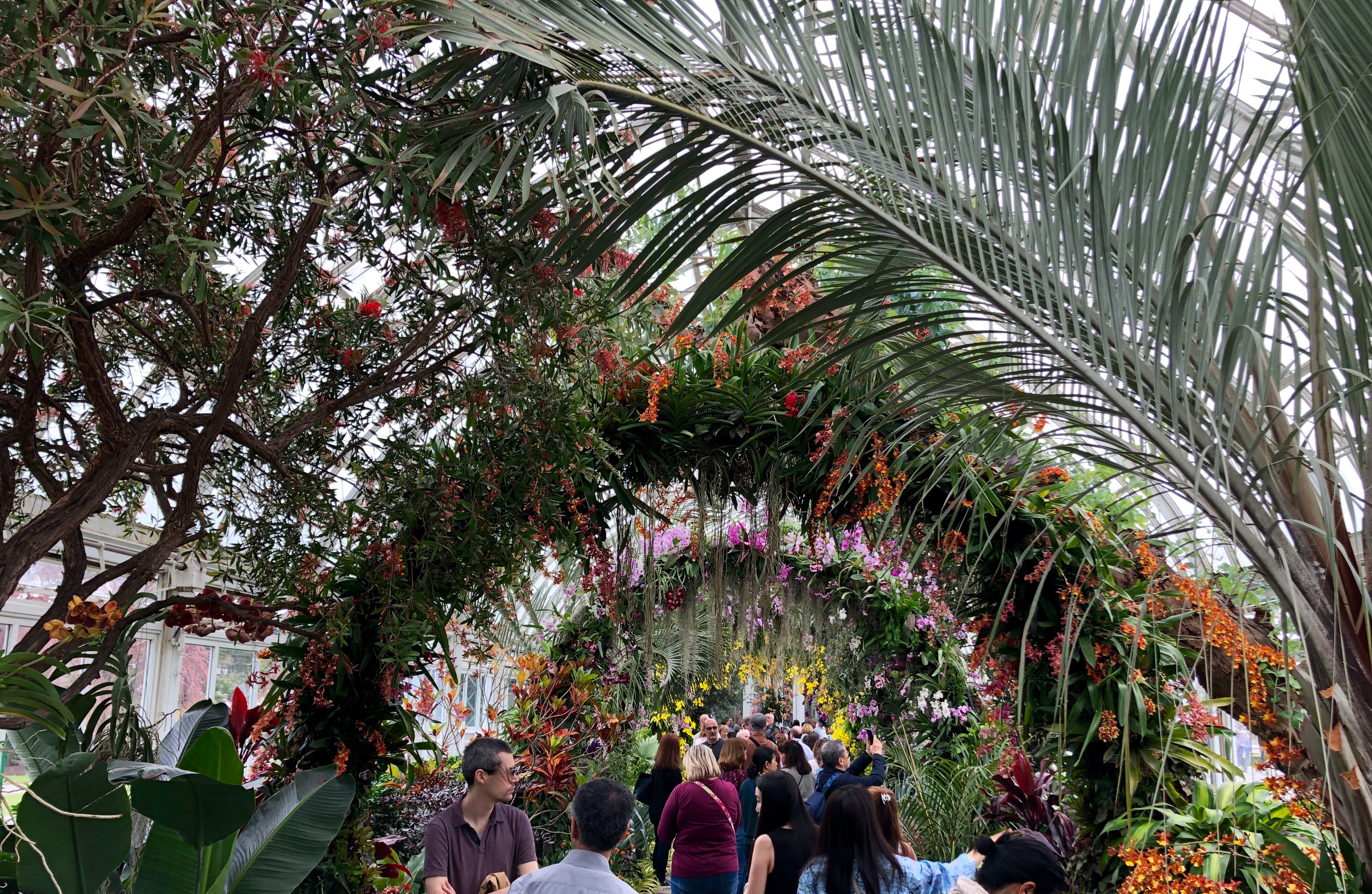 New York Botanical Garden (NYBG) Orchid Show (Photo: Ceara Rossetti/Gildshire)
