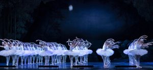 Introducing Swan Lake, Performed by the Shanghai Ballet at Lincoln Center, New York City