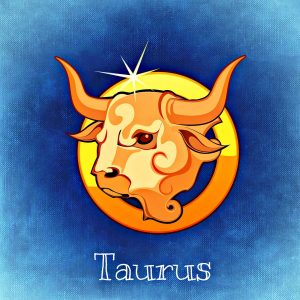 Taurus sign