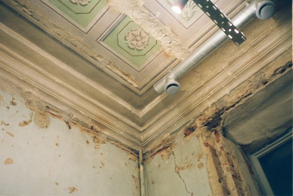 How To Eliminate Mold From Your House