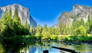 There are 13 campgrounds within the Yosemite National Park 
